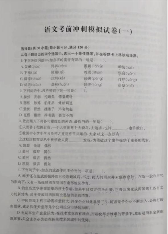 2024年安徽高职分类招生考试语文冲刺模拟试卷